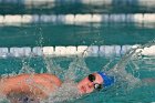 Swimming vs Babson  Wheaton College Swimming vs Babson College. - Photo By: KEITH NORDSTROM : Wheaton, Swimming, Babson